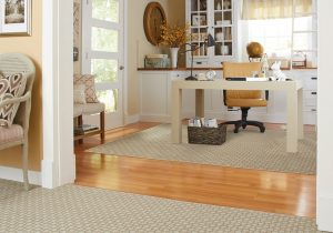 shaw-carpet-m6870-primetime